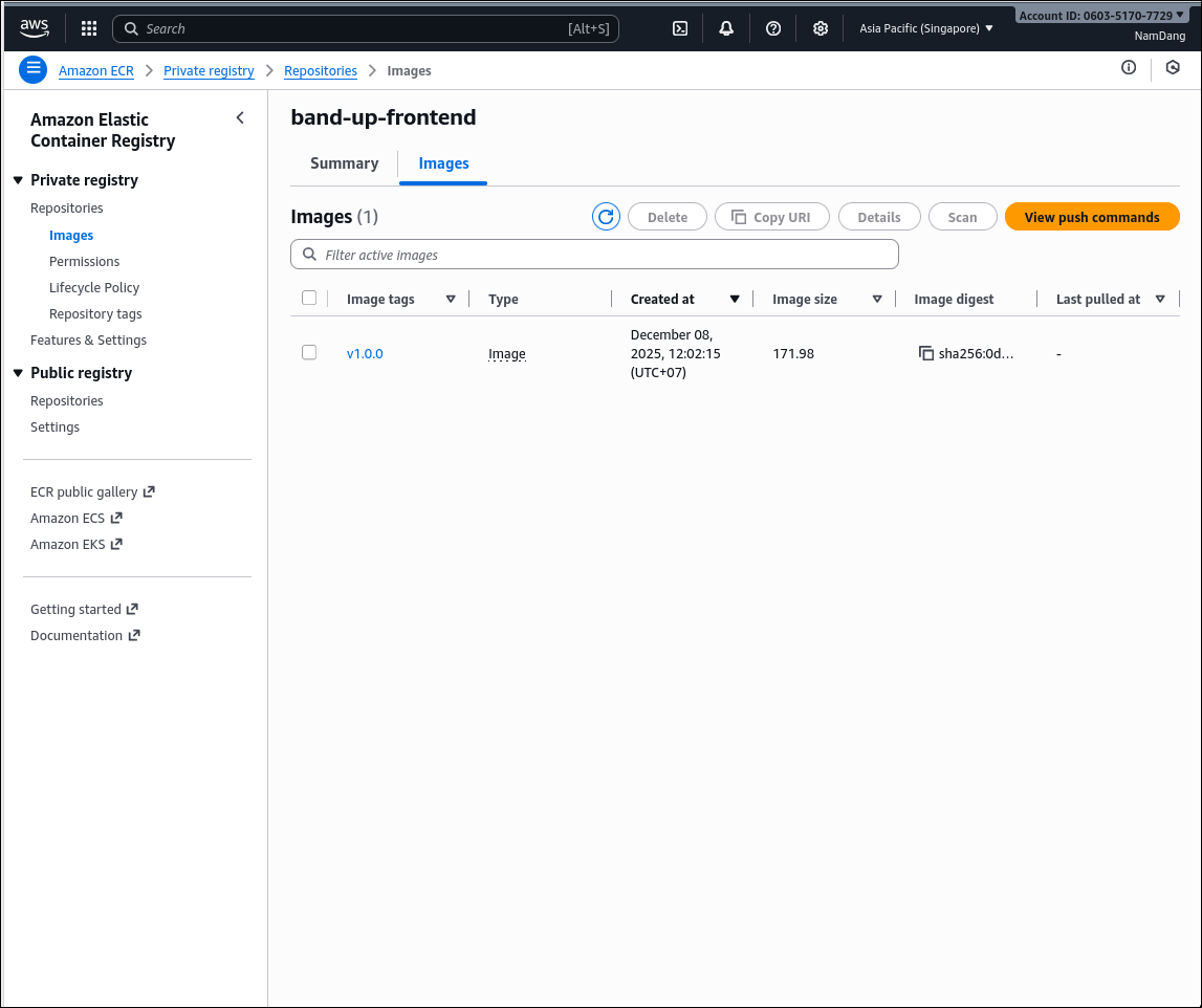 Verify Image in Console
