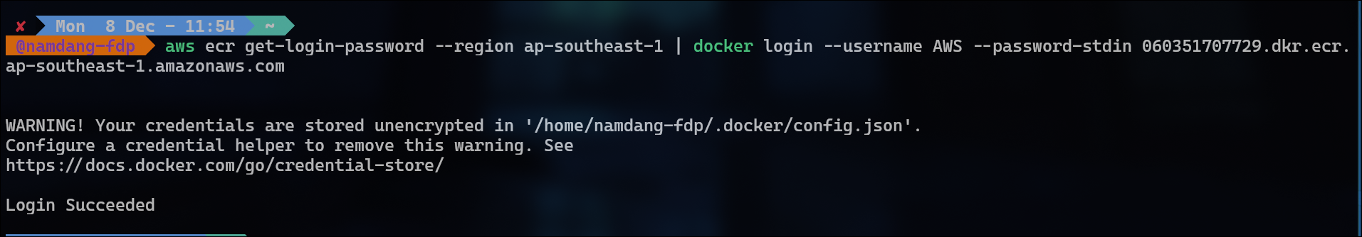 CLI Login Success