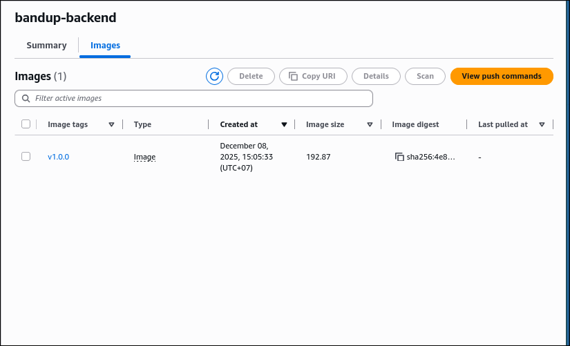Verify Backend Image